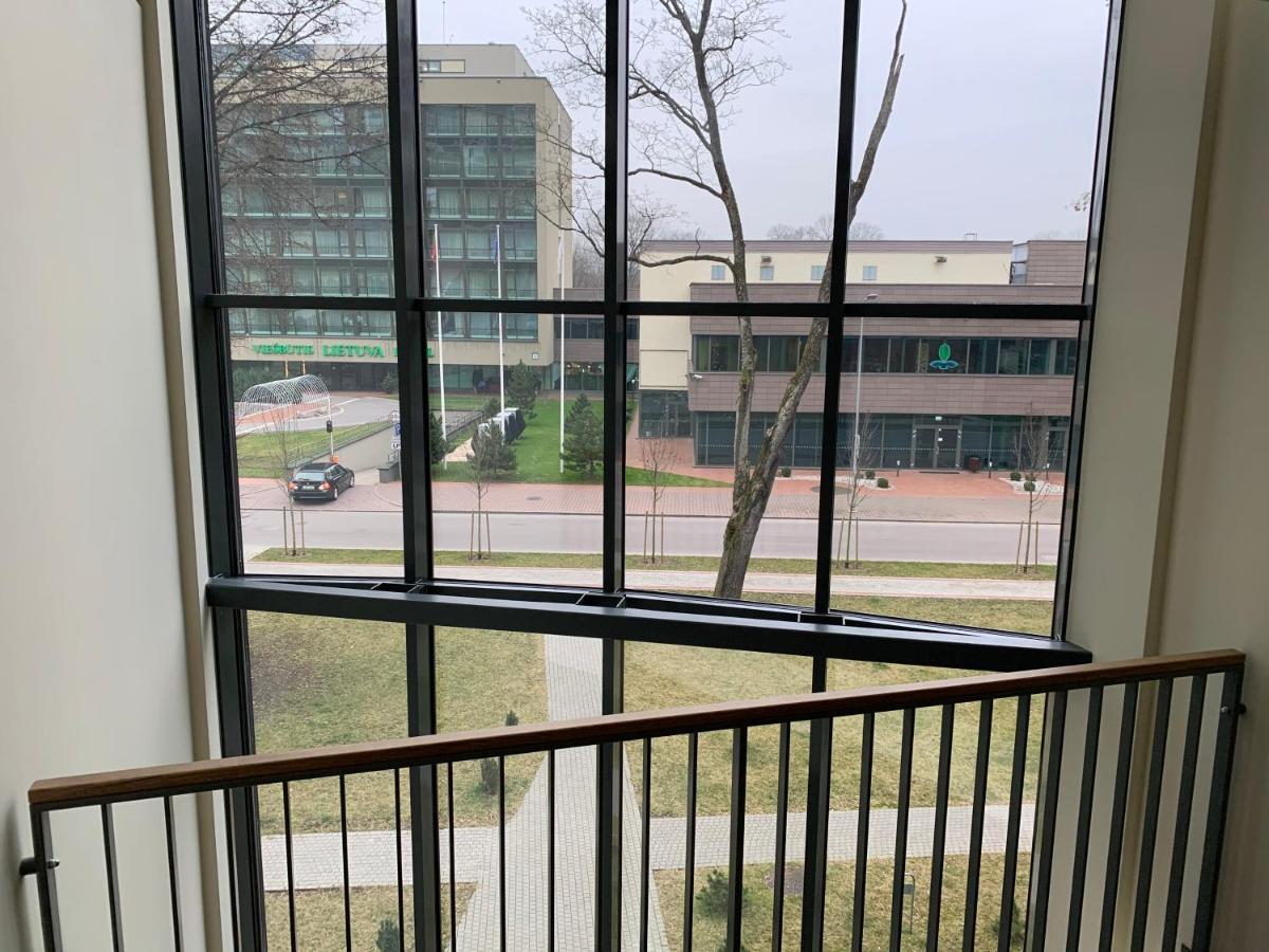 Broliu Studija Apartment Druskininkai Ngoại thất bức ảnh